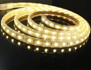 5050 60LEDs/M High Volt Super Bright LED Strip