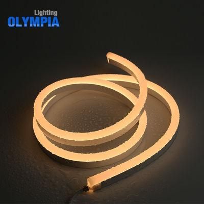 Rings Decoration LED Flexible Neon Strip Light