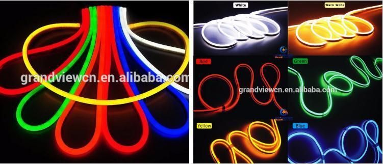 Waterproof 24V LED Neon Rope Light for Swimming Pool Rope Light