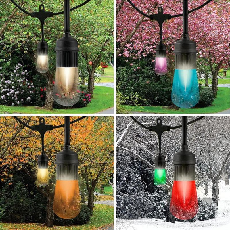 Vintage Seasons LED Warm White & Color Changing Cafe String Lights