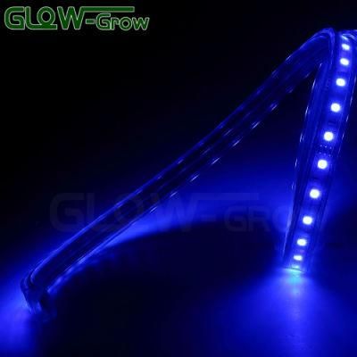 High Voltage IP65 Waterproof CE Approval SMD 5050 RGB Sync LED Strip Light for Bar Shopping Mall Decoration