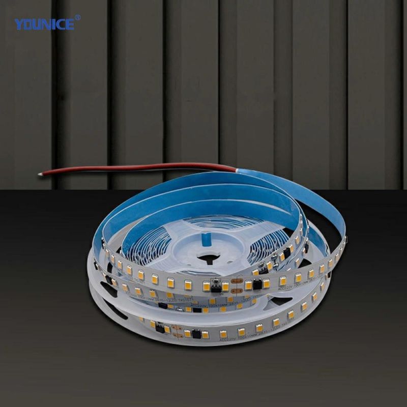 High Voltage AC220V LED Flexible Tape Light Strip