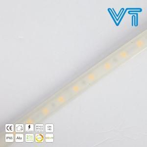 220V Ce RoHS Wedding Decoration LED Neon Flexible Strip