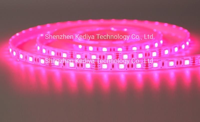 High Quality 14.4W SMD5050 Waterproof 60LEDs/M LED Flexible RGB LED Strip Light