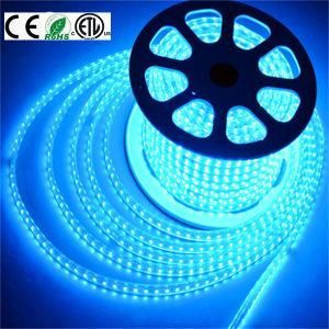 ETL Listed 120V/220V 5050 60LED/M Flex RGB LED Strip Light