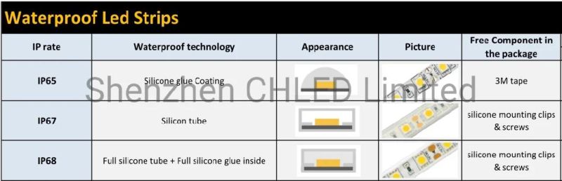 Warm White SMD Strip 2835/3528/5050/2216 LED Strip Light 12V/24V LED Work Lights Ribbon for Christmas Decoration Lights