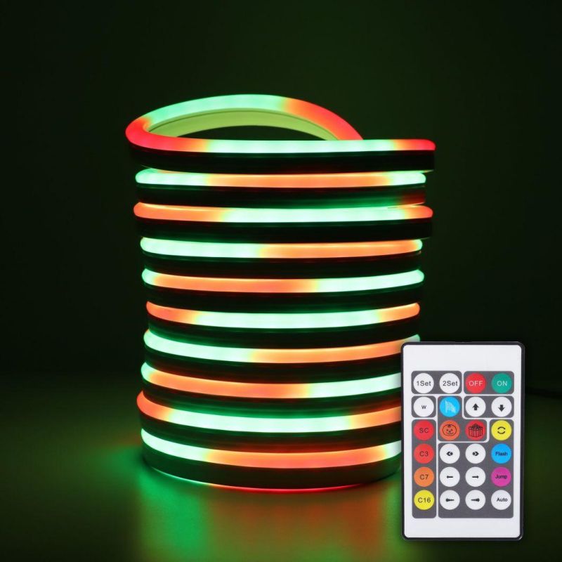 LED Neon 5m 2-Years Warranty ETL CE Certificated 60W RGB Flexible Smart Neon Chasing Lighting LED Strip Light