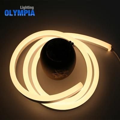 Pure White SMD5050 IP68 Waterproof LED Neon Flex Hose