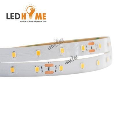 SMD3528 60LEDs 24 V LED Strip for Indoor or Outdoor Decoration