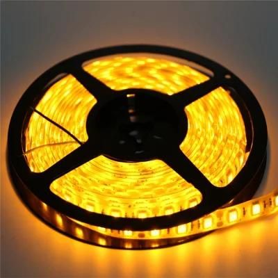 High Efficiency 5050 120LEDs/M DC12V/24V LED Rope Light Strip