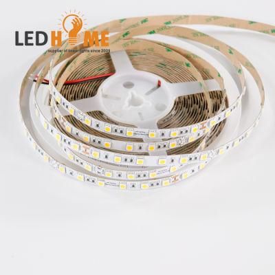 SMD 5050 60LEDs DC 24V LED Strip From China Factory