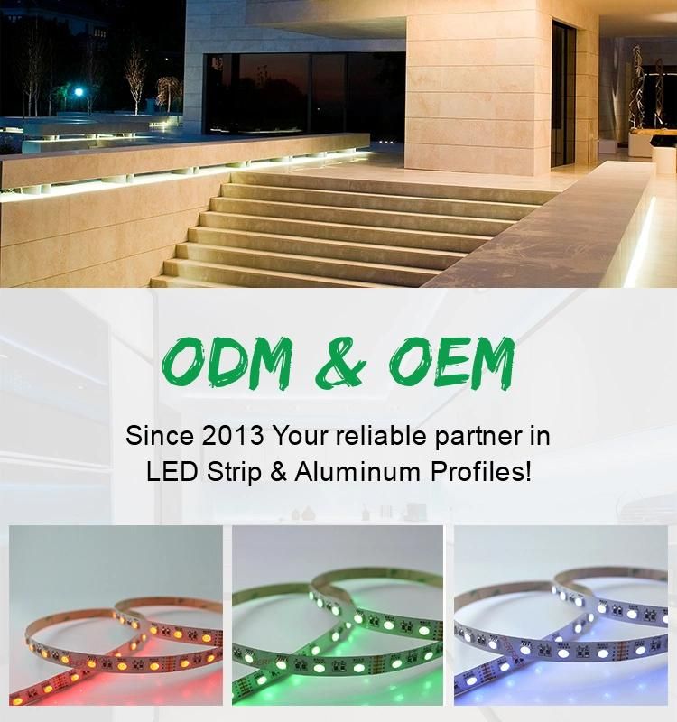 LED Light RGBW RGB CCT 24V 5050 Decoration RGB