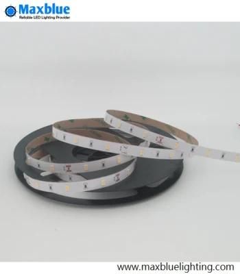 DC12V 30LEDs/M Samsung 5630 Flexible LED Strip Light