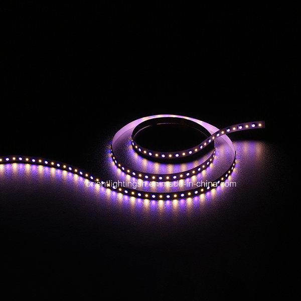 5050 2835 96LEDs 24V IP67 RGBW LED Strip Lighting