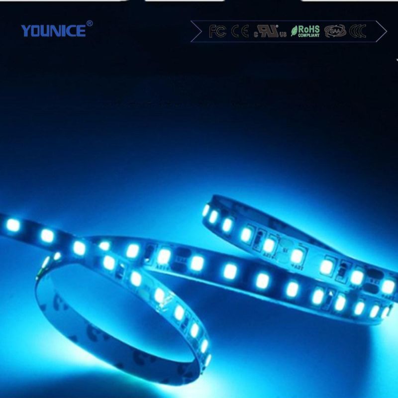 5m Per Roll 10mm Width SMD3838 RGB Strip DC24V 120LEDs/M LED Tape Light Flexible Strip