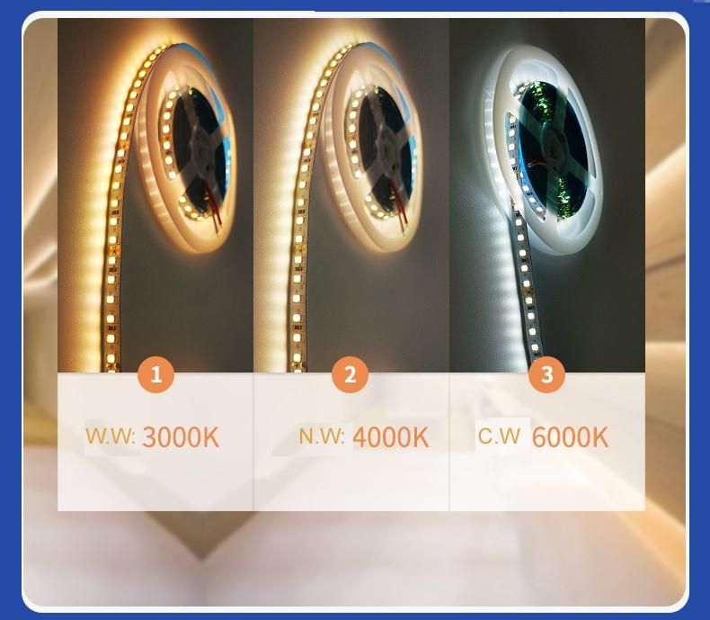 LED Strip Light 12V LED Light Strip 24V LED Lamp Belt LED Lamp Strip for Indoor Lighting