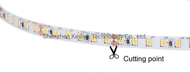 High Brightness LED Strip Light (120LEDs/M) with High Quality SMD2835LED