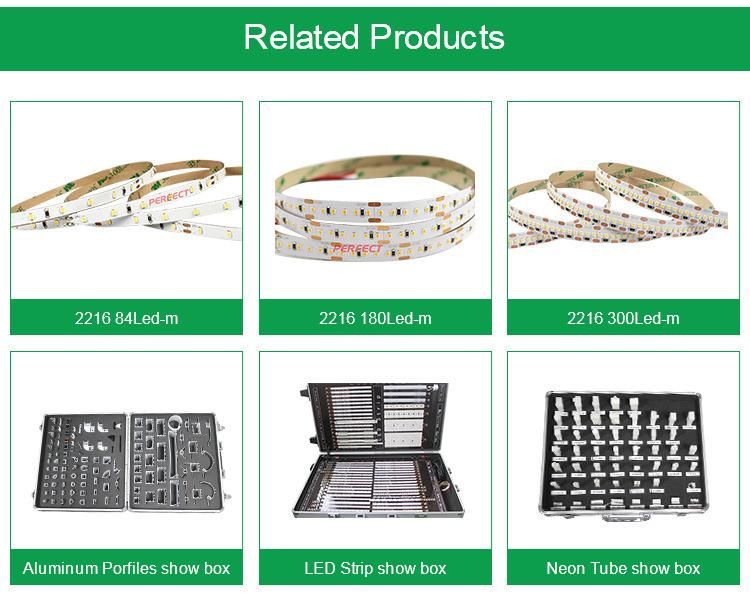 12V 24V SMD 2216 Waterproof LED Strip Light for Christmas Decoration Light