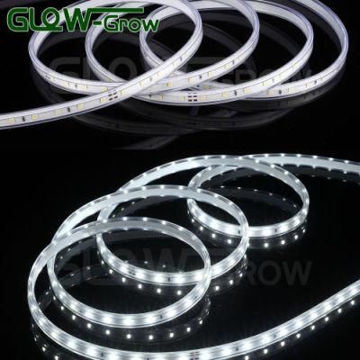 Green Rope Lamp DC 120V IP65 Waterproof 60LEDs/M SMD 2835 LED Strip Light