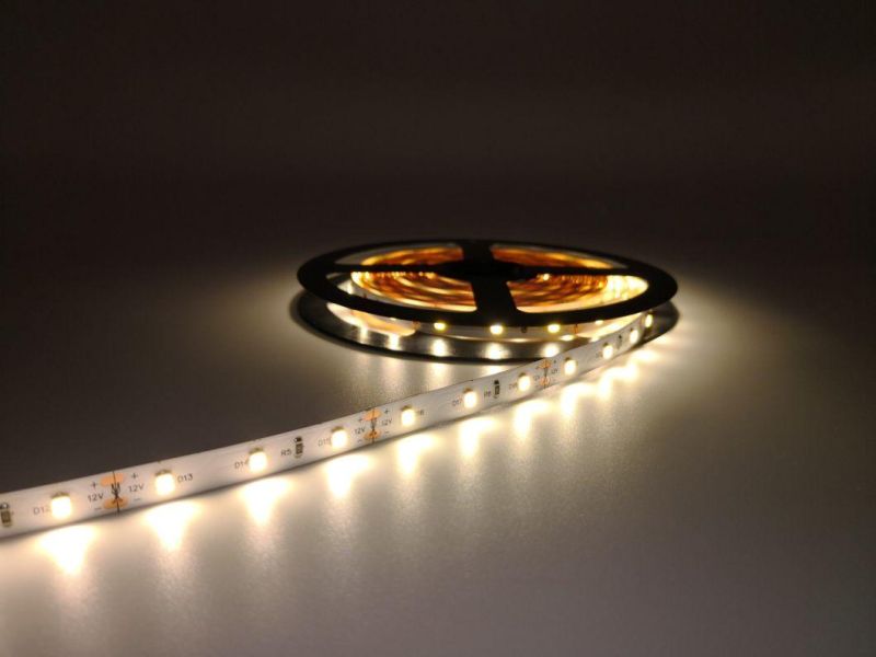 Custom 60LEDs/M Addressable LED Strip Outdoor Pixel RGB LED Neon Flex Strip