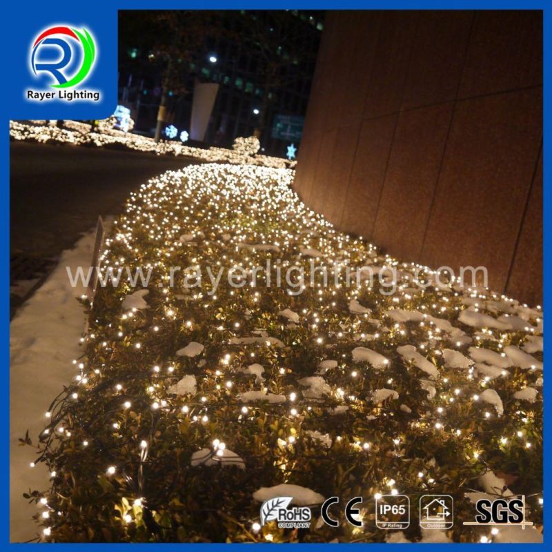 Christmas Outdoor Lighting Project Programmed LED Net Lights