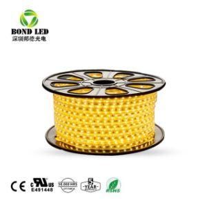 High Brightness 14.4W/M AC 220V 110V Interior LED Strip Lights