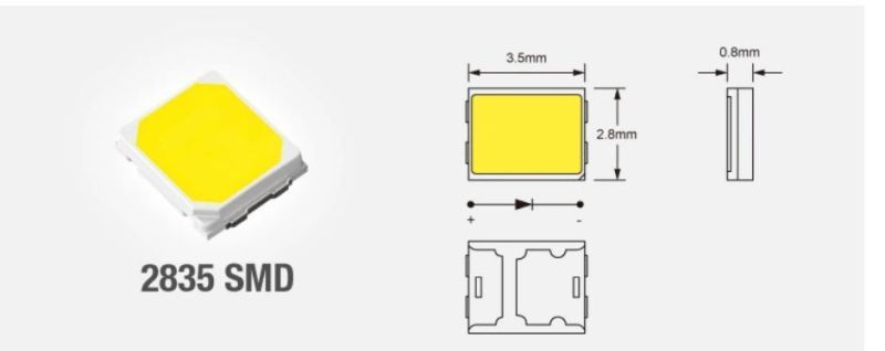 SMD 2835 5 Yrs Warranty with CE/RoHS Certificate LED Strip Light