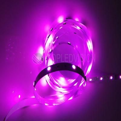 TUV FCC Listed 5050 RGB LED Rope Light 7.2W/M