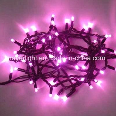 Christmas Light Festivital Decoration Outdoor Decoration LED String Lights