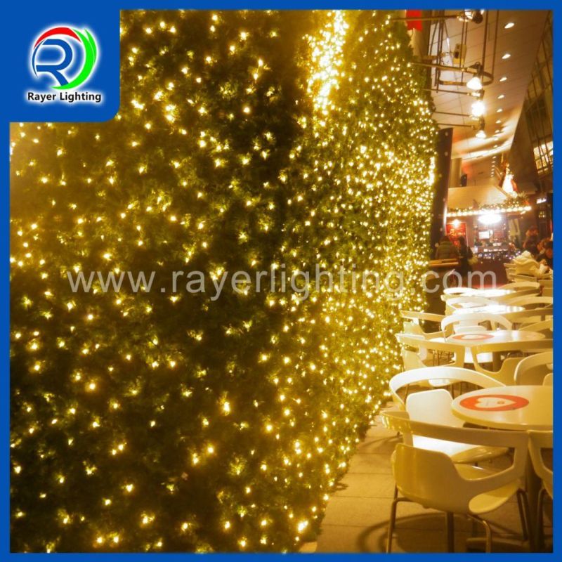 Christmas Outdoor Lighting Project Programmed LED Net Lights