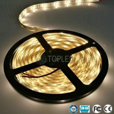 SMD 2835 LED Strip Outdoor Light Single Color 120LEDs/M 12V DC