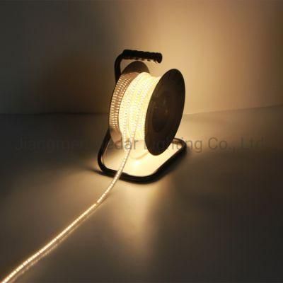 ETL Recyclable 2835-120p LED Strip Light LED Rope Light Cinta LED Flexible Light Decorate Light