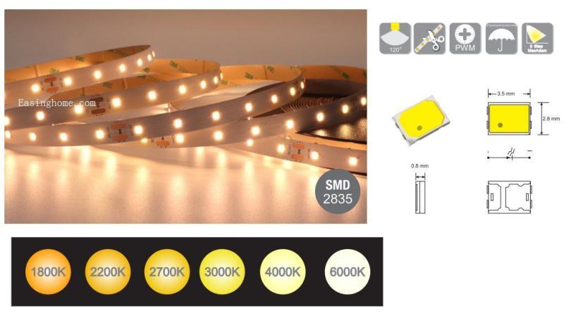 50m 36V LED Strip Without Voltage Drop IC Built in LED Light Strips