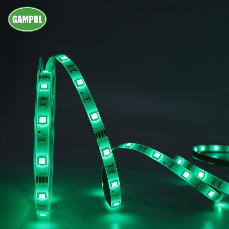 5050 RGB Multicolor Flexible WiFi Smart LED Neon Waterproof LED Strip Light