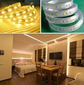 Waterproof 110V 220V Strip Light 5630 CRI90 ETL