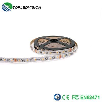 High Brightness 5050 RGBW Color LED Strip Sample Offered