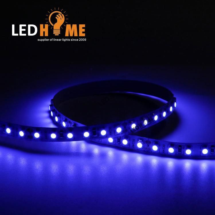 Blue SMD Strip LED Lighting 120LEDs Strip Lighting