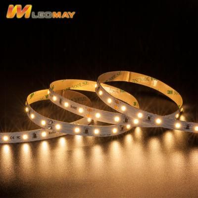 Wholesale 2835 non-waterproof/waterproof back light flexible LED stripe indoor lighting project