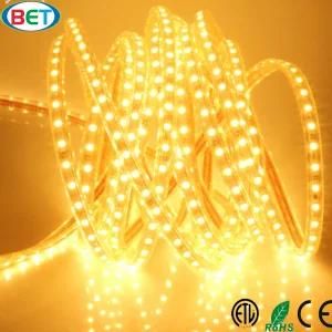 5050 Outdoor LED Stripe Light 120V 3000k