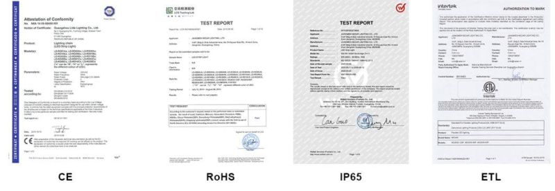 5 Meters Strip LED 120V with Power Supply SMD 2835 120LED ETL Cert outdoor Used for Xmas and Decorative Light