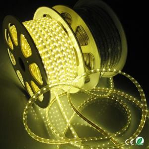 LED 230V / 110V 5050SMD LED Light LED Strip Light