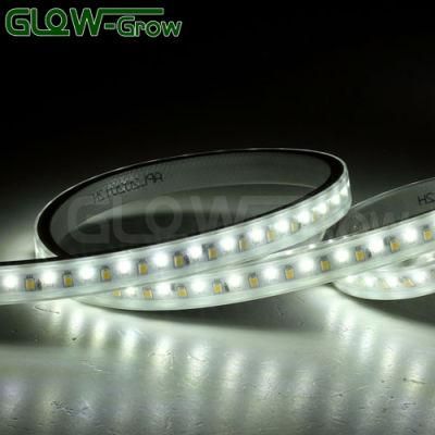 Dual Color IP65 2835 144LEDs/M High Voltage Flexible LED Strip Light for Bridge Street Project Decoration