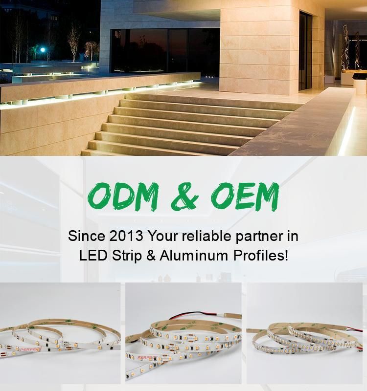 Shenzhen Office Decorations Lighting High CRI SMD 3020 LED Strip