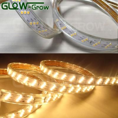 6000K Cool White SMD 2835 180 (60*3) L IP65 LED Strip Light with AC/DC Converter