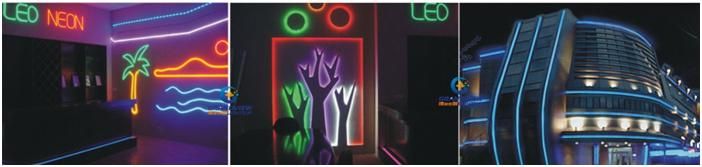 LED Neon Flex Light