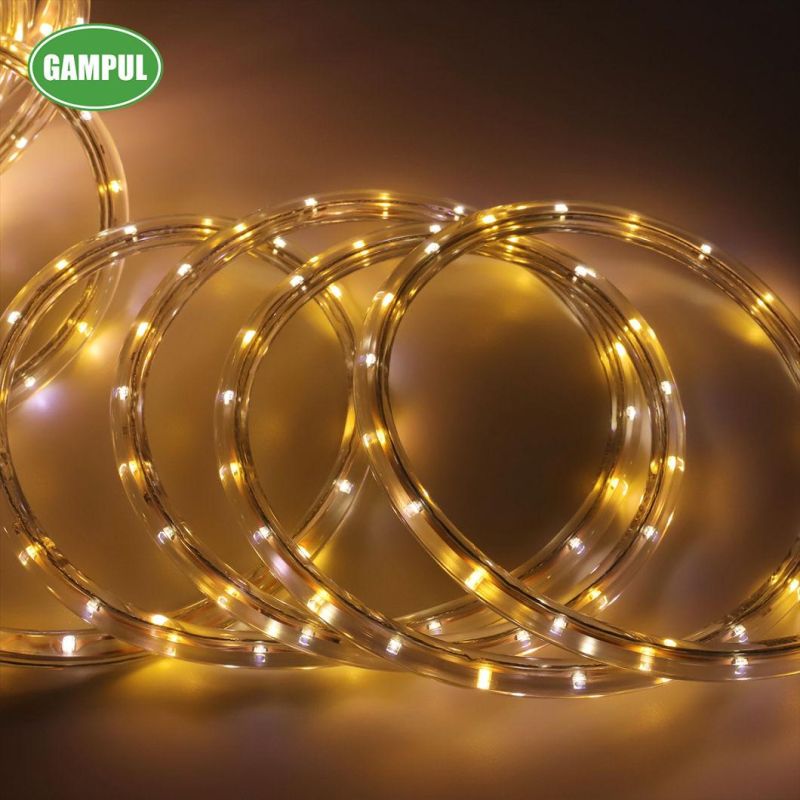 China Color Changed White Flexible LED Decorative Rope Light 3528SMD