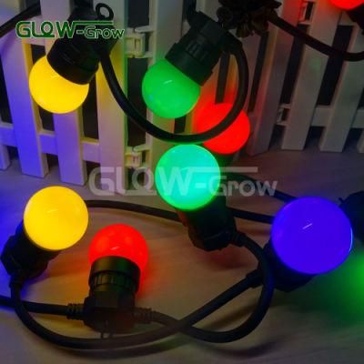 RGB Multicolor Festoon Bulb String Light for Bar Decoration