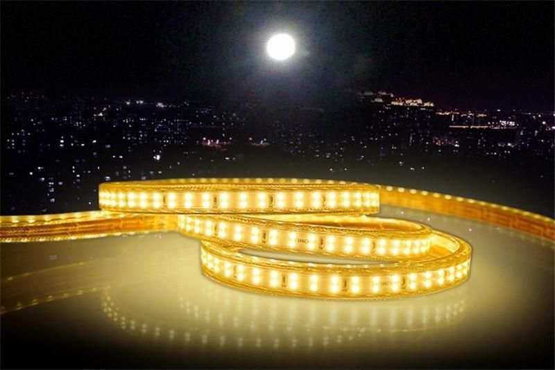 220V 2835 180 Double Line High Brightness LED Flexible Strip