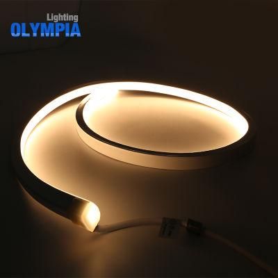 Pool IP68 Waterproof Flexible 3528 LED Light Strip