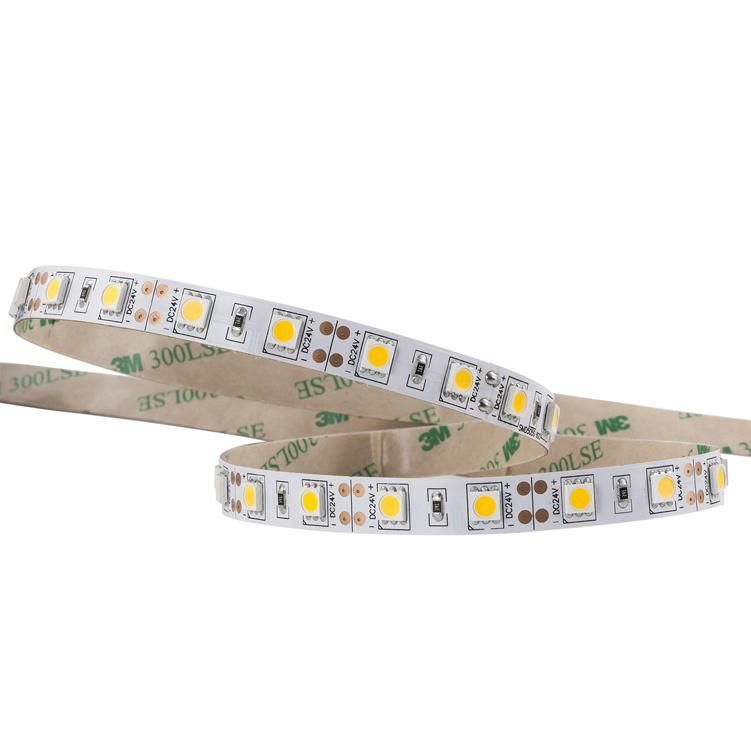 TWO LEDs CUT Series SMD5050 60 LEDs/M